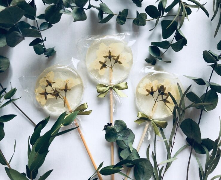 Jasmīna karamele uz kociņa