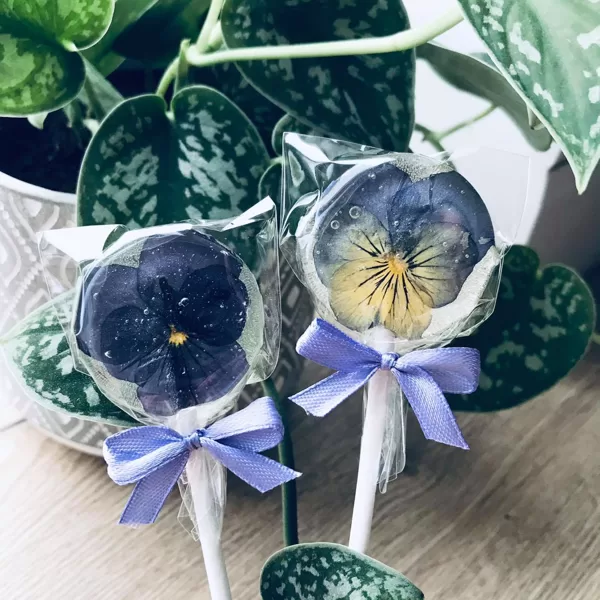 Pansy lollipop
